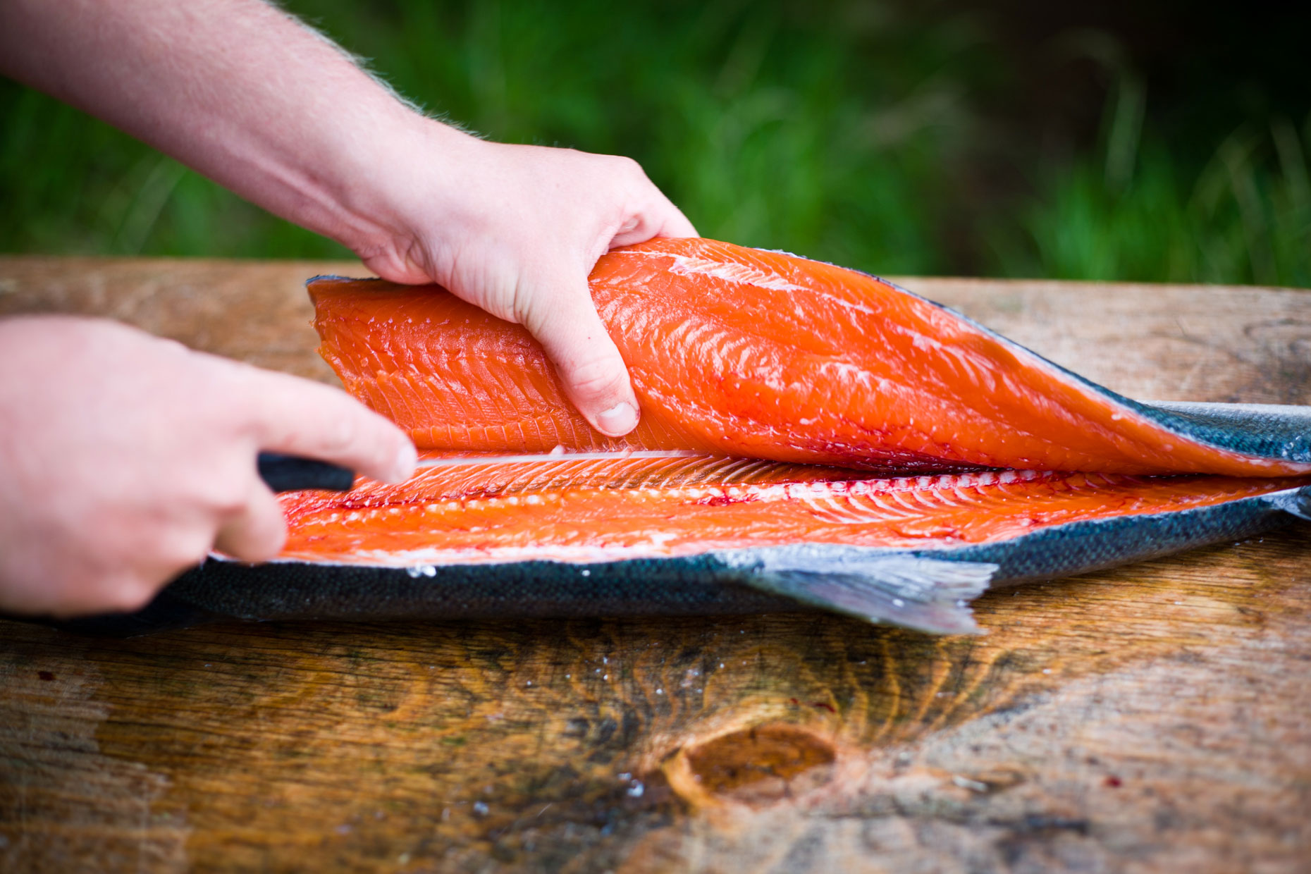 Alaskan Salmon